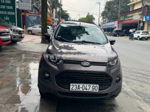 Xe Ford EcoSport Titanium 1.5L AT 2017