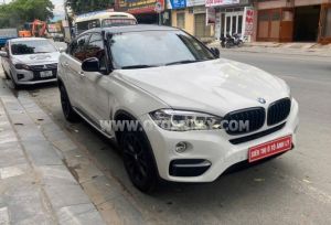 Xe BMW X6 xDrive30d 2014