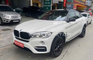 Xe BMW X6 xDrive30d 2014