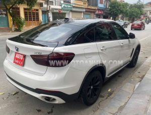 Xe BMW X6 xDrive30d 2014