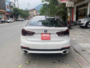 Xe BMW X6 xDrive30d 2014