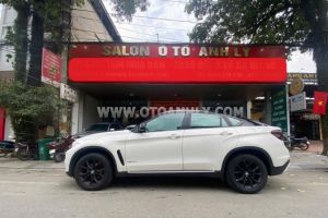 Xe BMW X6 xDrive30d 2014