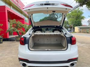 Xe BMW X6 xDrive30d 2014