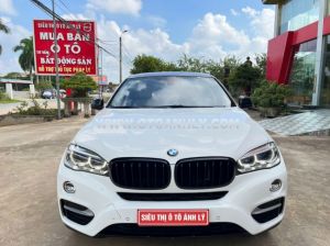 Xe BMW X6 xDrive30d 2014