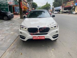 Xe BMW X6 xDrive30d 2014