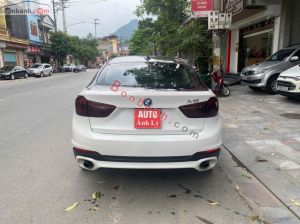 Xe BMW X6 xDrive30d 2014