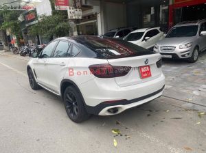 Xe BMW X6 xDrive30d 2014