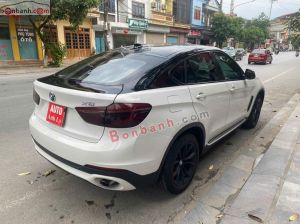 Xe BMW X6 xDrive30d 2014