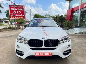 Xe BMW X6 xDrive30d 2014